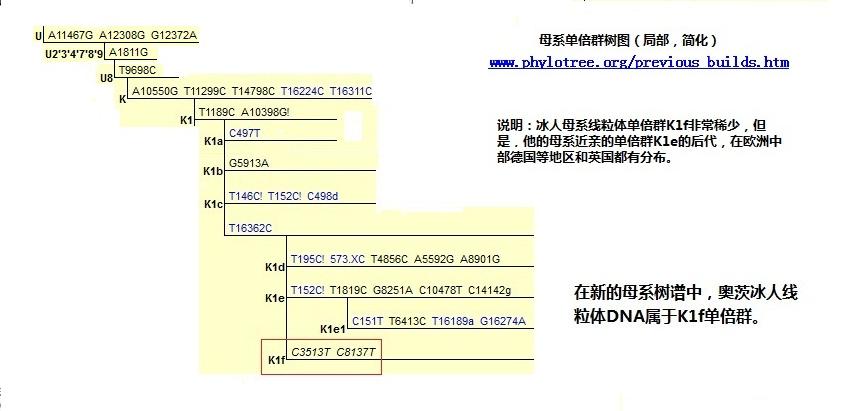 B冰人线粒体part