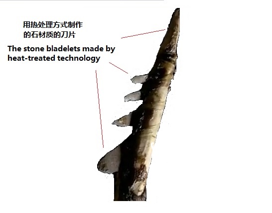 15万年前的工具2